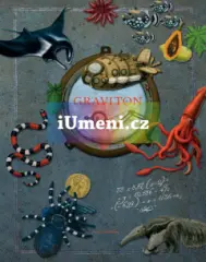 Graviton - obrázek