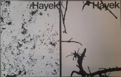 Pavel Hayek - obrázek
