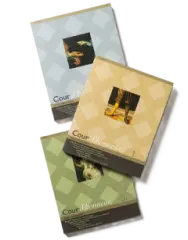 Cour d'honneur: hrady, zámky, paláce 1, 2, 3 - obrázek