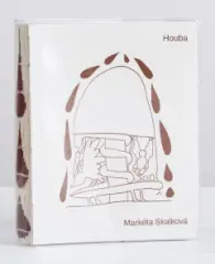 Houba - obrázek