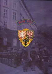 Hradní stráž - obrázek