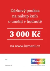 Dárkový poukaz  3000 Kč - obrázek
