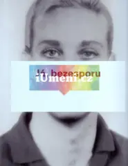Já, bezesporu - obrázek