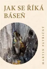 Jak se říká báseň - obrázek