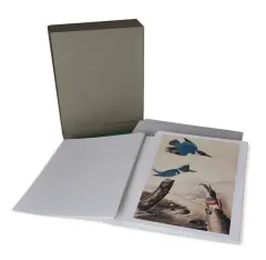 The John James Audubon Portfolio - obrázek