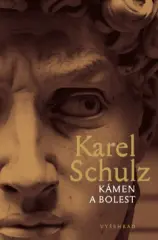 Kámen a bolest - obrázek