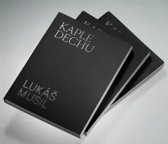 Lukáš Musil - Kaple Dechu (s podpisem autora) - obrázek