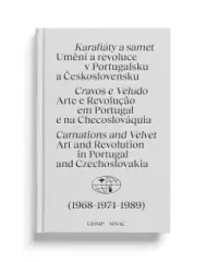 Karafiáty a samet - obrázek