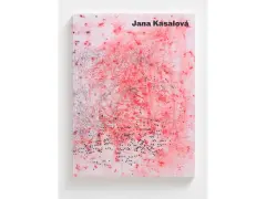 Kasalová Jana / ANÁMNESIS - obrázek