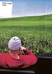 Viktor Kolář: Color - obrázek