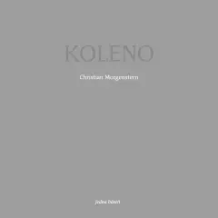 Koleno - obrázek