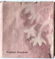 Vladimír Komárek - obrázek