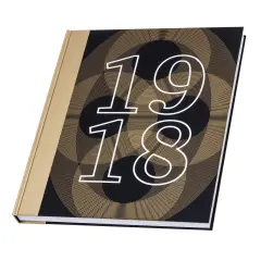 Kronika první republiky - Díl první – rok 1918 Zlatá edice) - obrázek