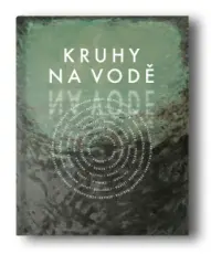 Kruhy na vodě - obrázek