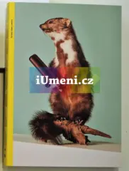 Kuna nese nanuk: Umění čtení umění - obrázek