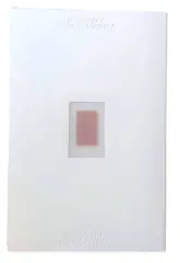 V rytmu lyrických souvislostí -  Dáša Lasotová, Jan Wojnar - obrázek