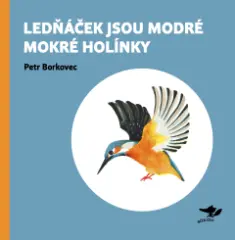 Ledňáček jsou modré mokré holínky - obrázek