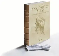 Leonardo da Vinci - Anatomický atlas (exkluzivní, ručně vázané vydání) - obrázek
