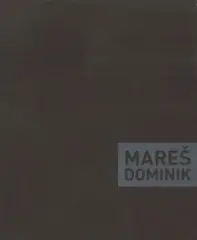 Dominik Mareš - obrázek