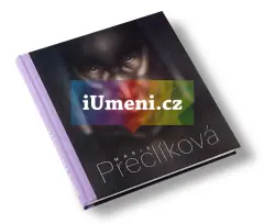 Marie Preclíková - obrázek