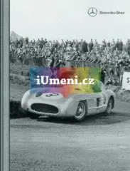 Mercedes-Benz 300 SLR - obrázek