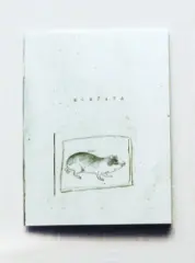 Morčata - obrázek