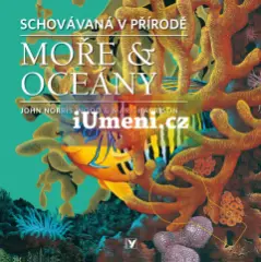 Moře &amp; oceány - obrázek