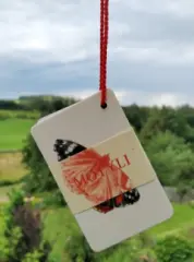 Motýli - kapesní atlas - obrázek