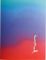 Martin Salajka - Nebula s malým linorytem - obrázek