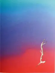 Martin Salajka: Nebula - obrázek