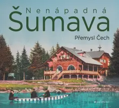 Nenápadná Šumava - obrázek