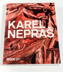 Karel Nepraš - obrázek