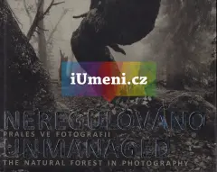 Neregulováno. Prales ve fotografii - obrázek