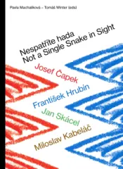 Nespatříte hada / Not a Single Snake in Sight - obrázek