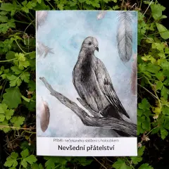 Lenka Zpodořechu: Nevšední přátelství - obrázek