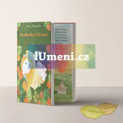 Magnetka - Lucie Greitáková - obrázek