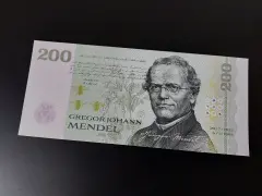 Paměťovka Mendel - obrázek