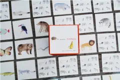 Pexeso Zvířata - obrázek