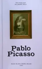 Pablo Picasso. Šedá hlava - Tři pohledy na jedno dílo - obrázek