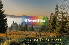 Kniha… a to jsi Ty, Šumavo - obrázek