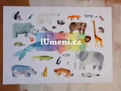 Plakát A2 - obrázek
