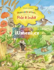 Pole a louka - obrázek
