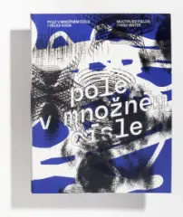 Pole v množném čísle / Velká voda - obrázek