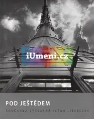 Pod Ještědem. Současná výtvarná scéna liberecka - obrázek