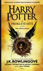 Harry Potter a prokleté dítě - obrázek