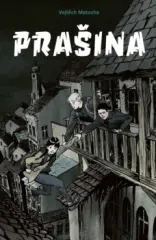 Prašina - obrázek