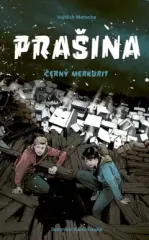 Prašina: Černý merkurit - obrázek