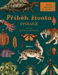Příběh života - obrázek