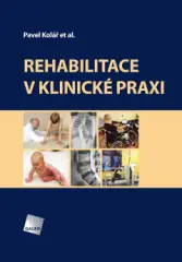 Rehabilitace v klinické praxi - obrázek