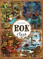 Rok v lese - obrázek